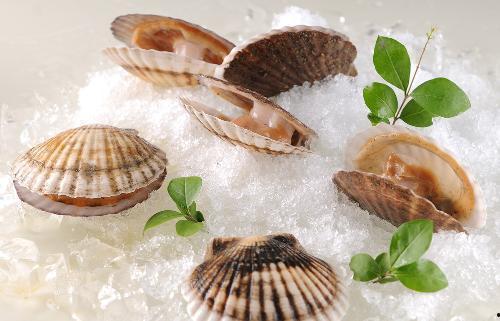 爆料海鲜扇贝的做法视频,视频教学，轻松学会美味扇贝烹饪技巧