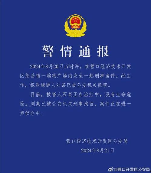 辽宁热点爆料事件最新情况,真相揭晓，影响深远